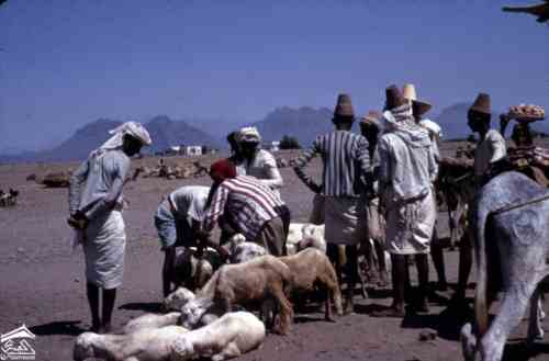 ��� �������� ���� ������ ����� ��� ������� ������ ��� 1972�