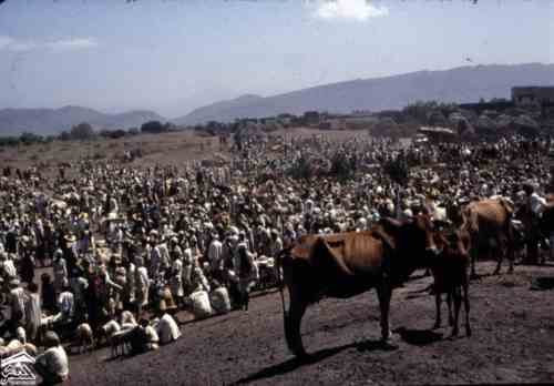 ��� �������� ���� ������ ����� ��� ������� ������ ��� 1972�