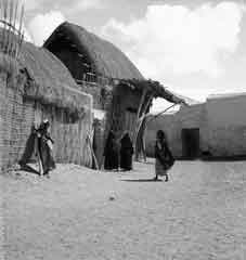 ���� ������ ��� ��� ����