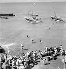 ���� ������ ��� ��� ����