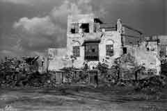 ���� ������ ��� ��� ����