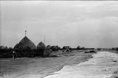 ���� ������ ��� ��� ����