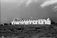 ���� ������ ��� ��� ����