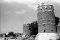 ���� ������ ��� ��� ����