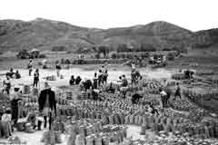 ���� ������ ��� ��� ����