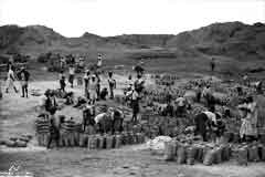 ���� ������ ��� ��� ����