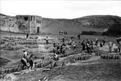 ���� ������ ��� ��� ����