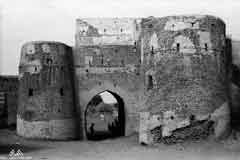 ���� ������ ��� ��� ����