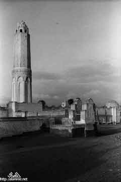 ���� ������ ��� ��� ����