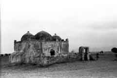 ���� ������ ��� ��� ����