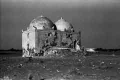 ���� ������ ��� ��� ����