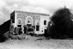 ���� ������ ��� ��� ����