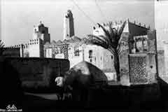 ���� ������ ��� ��� ����