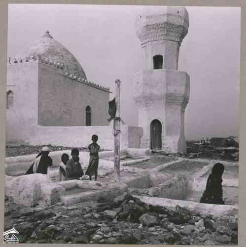 ���� ������ ��� 1972� ����� ����� ����