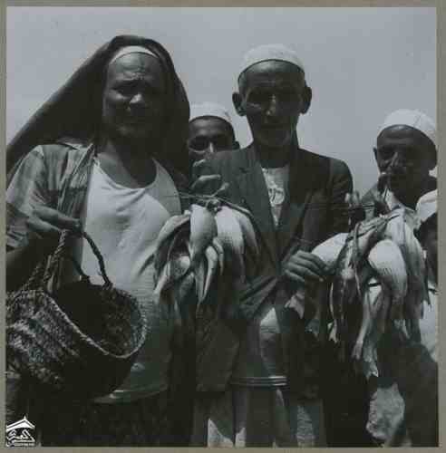 ������ ������ ������� �� ������ ��� 1972� ����� ����� ����