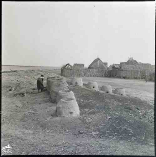 ������ ������ ����� ������ ��� 1972� ����� ����� ����