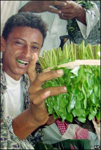 القات في عدن