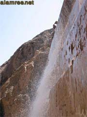 ���� ������ ��� ��� ���� ������