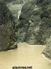 ���� ������ ��� ��� ���� ������