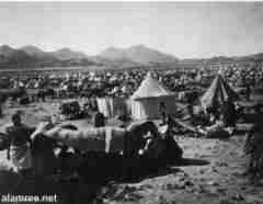 ���� ������ ��� ��� ����