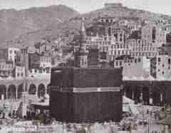 ���� ������ ��� ��� ����