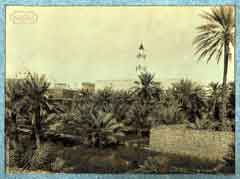 ���� ������ ��� ��� ����