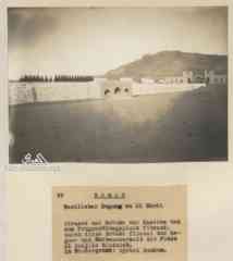 ���� ������ ��� ��� ����