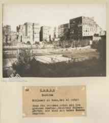 ���� ������ ��� ��� ����