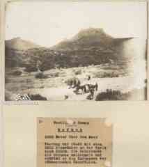 ���� ������ ��� ��� ����