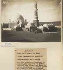 ���� ������ ��� ��� ����