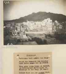 ���� ������ ��� ��� ����