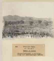 ���� ������ ��� ��� ����