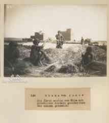 ���� ������ ��� ��� ����