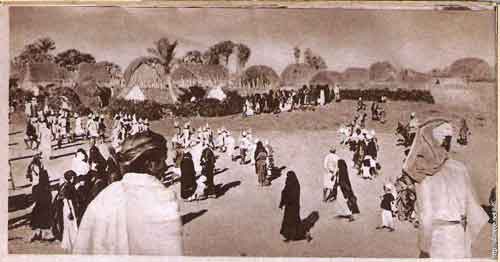 ���� ������ ��� ��� ����