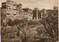 ���� ������ ��� ��� ����