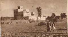 ���� ������ ��� ��� ����