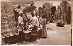 ���� ������ ��� ��� ����