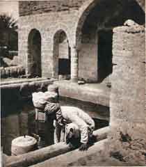 ���� ������ ��� ��� ����