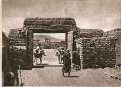 ���� ������ ��� ��� ����