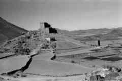 ���� ������ ��� ��� ����