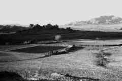 ���� ������ ��� ��� ����