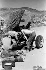 ���� ������ ��� ��� ����