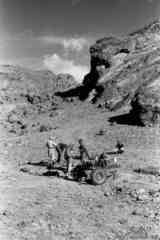 ���� ������ ��� ��� ����