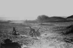 ���� ������ ��� ��� ����