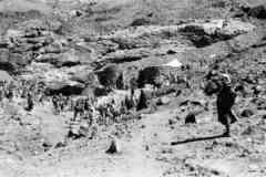 ���� ������ ��� ��� ����