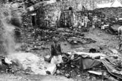 ���� ������ ��� ��� ����