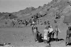 ���� ����� ��� ��� ����