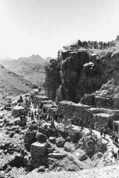 ���� ������ ��� ��� ����