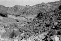 ���� ����� ��� ��� ����