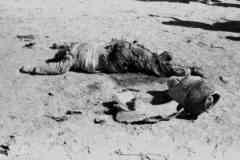 ���� ����� ��� ��� ����